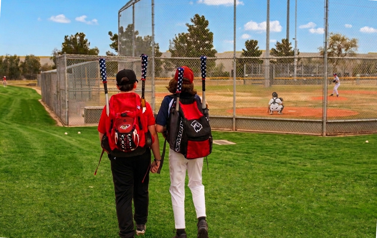 All Stars Baseball Bat Handle Cover